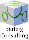 Berteig Consulting logo